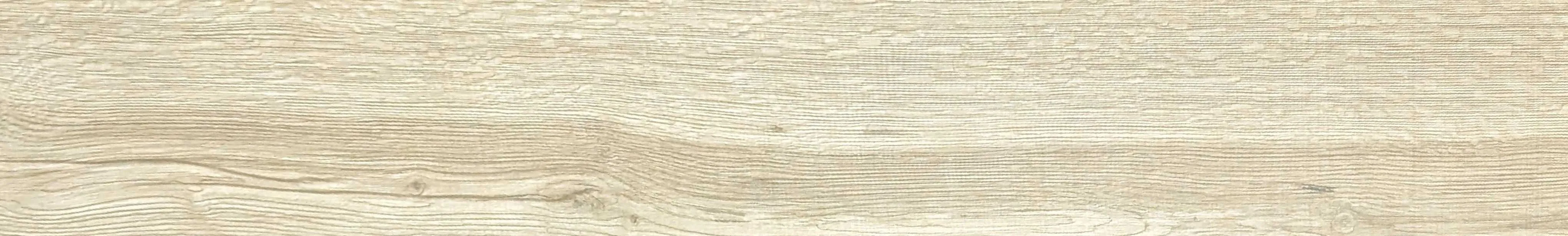 BLUM ROBLE 