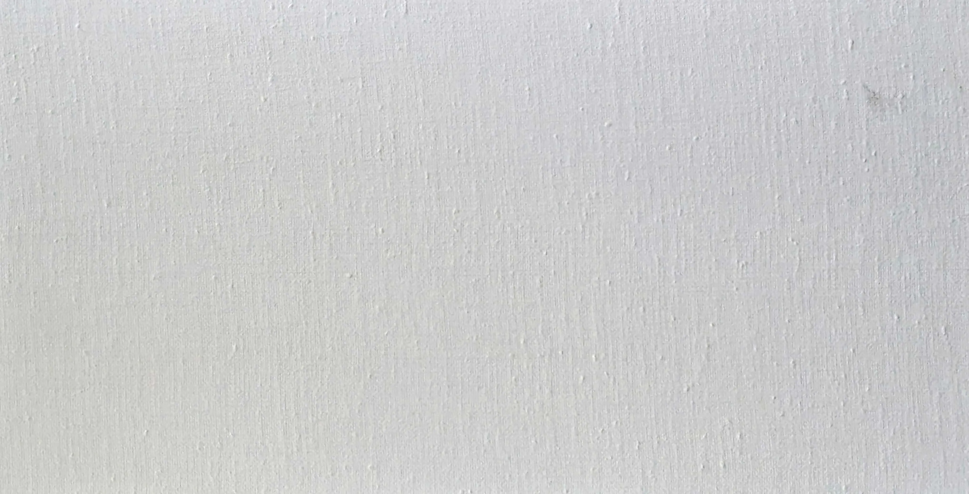 FIBRA PALE 