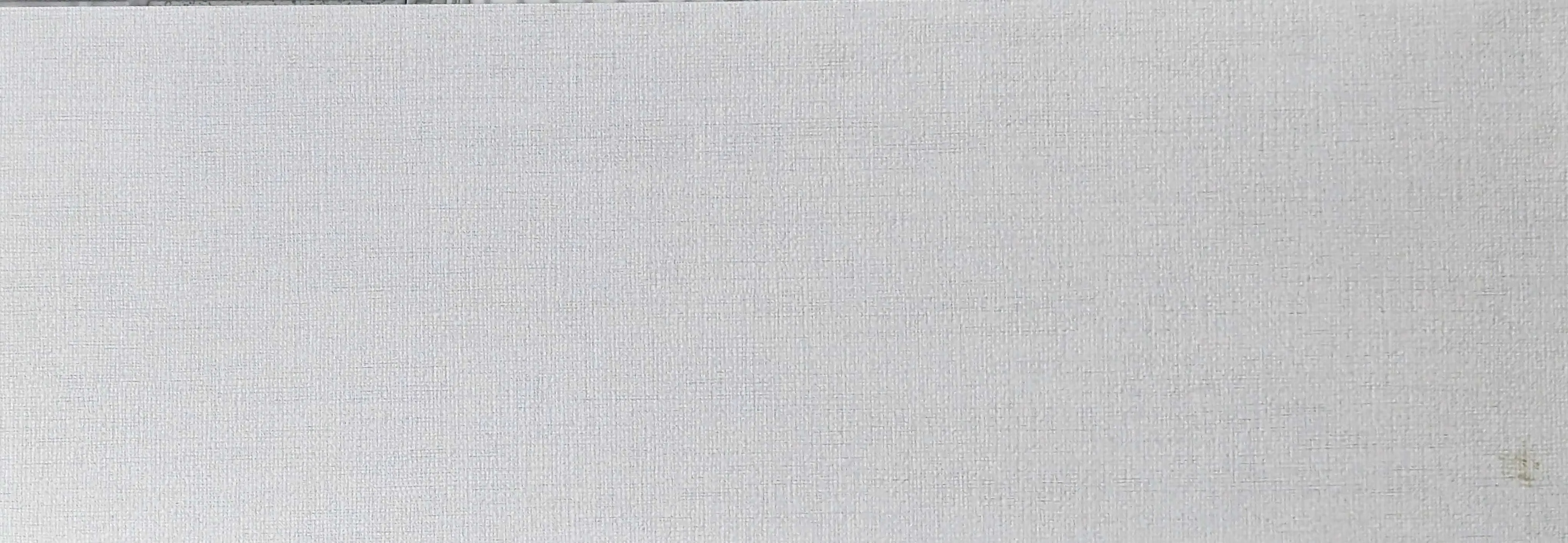 TOULOUSE GREY 