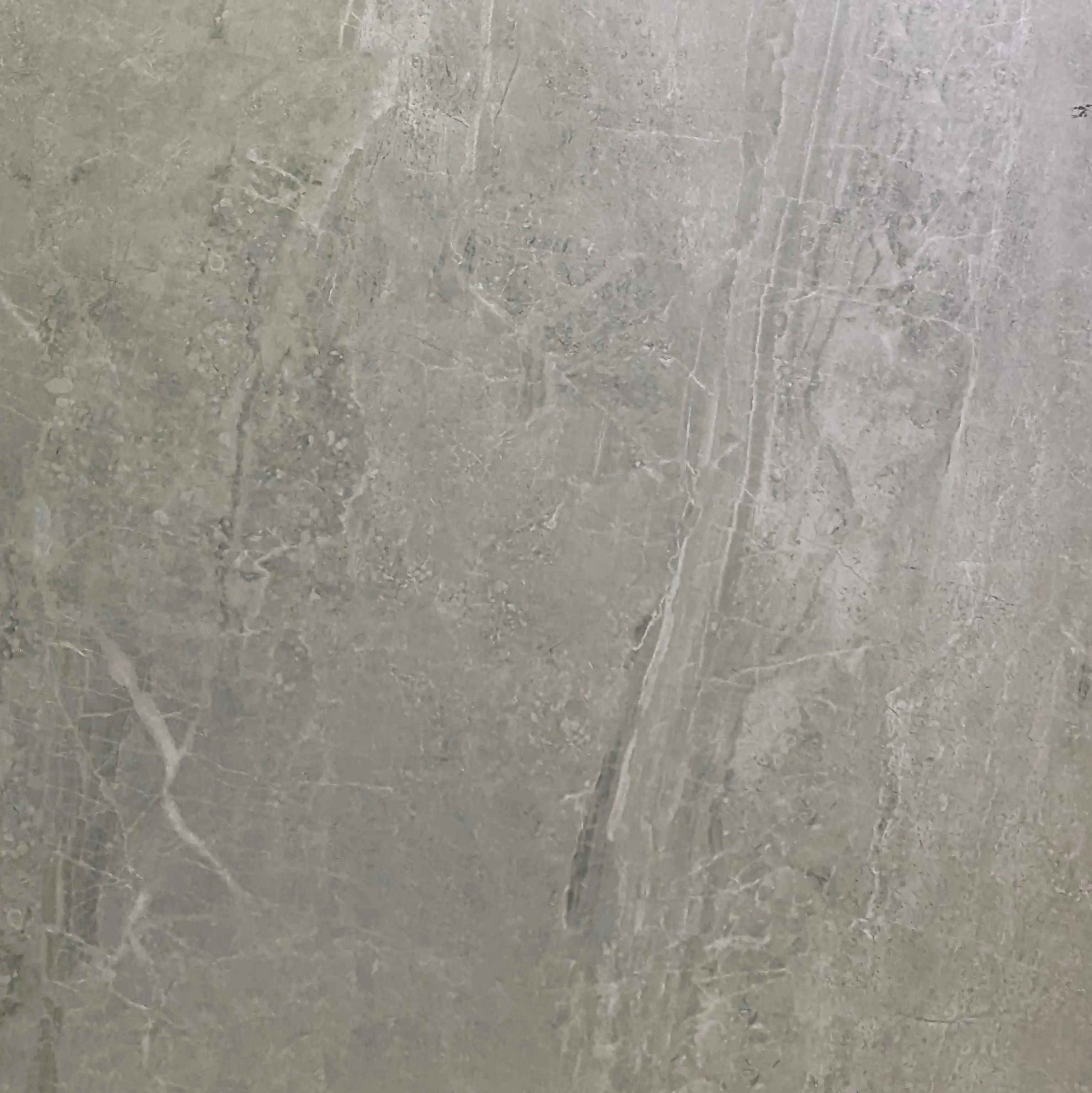 DS60923
