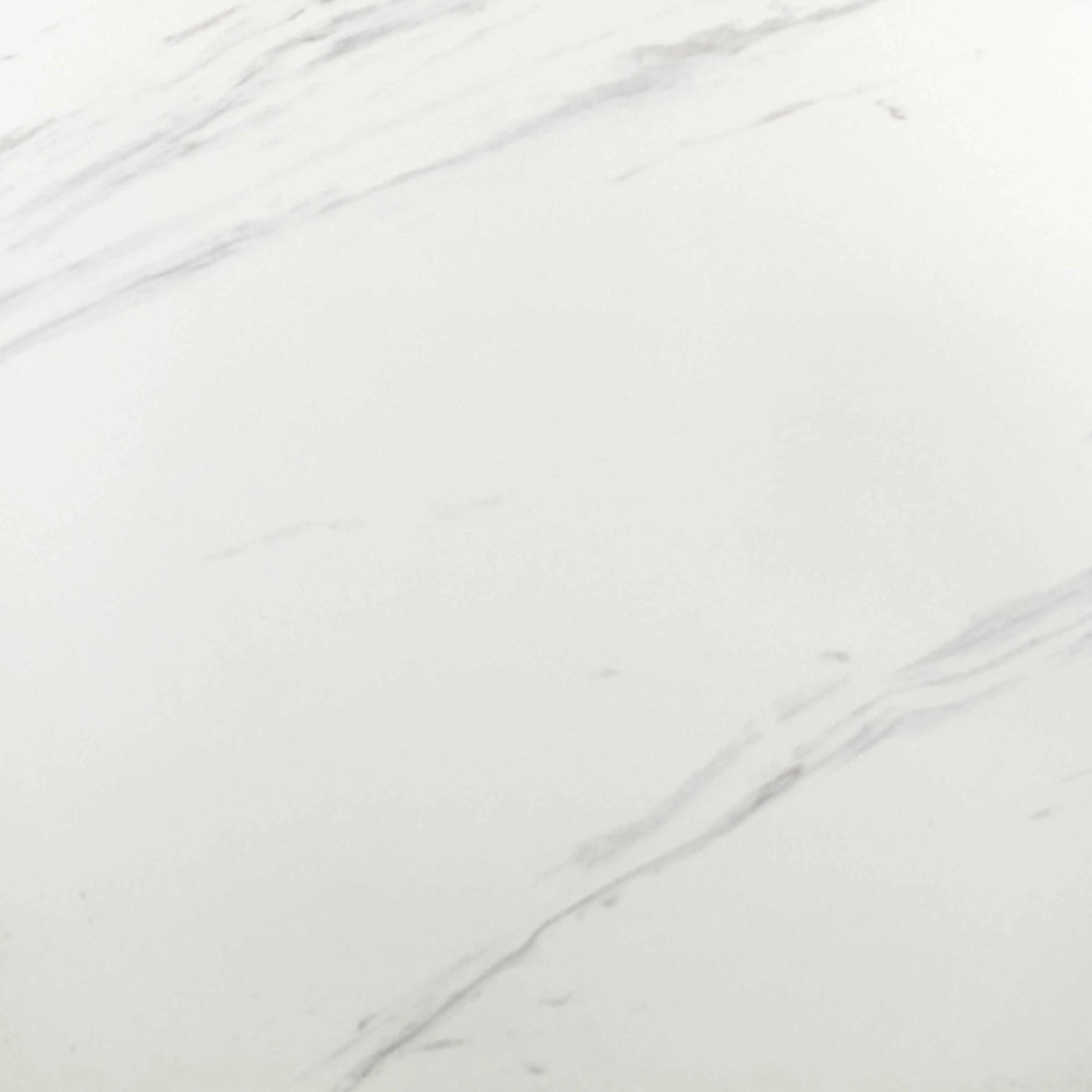 FEDRA BLANCO GLOSS